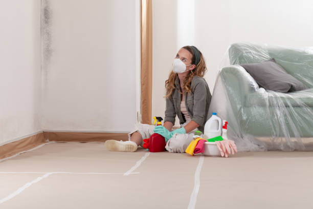 Reliable Black Mold Remediation contractor in Rowlett, TX by Car Mold Remediation